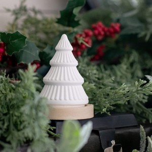 Plant Therapy Winter Fir Passive Aromatherapy Diffuser for Essential Oils